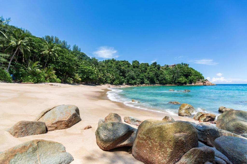 فندق كومفي إم يو دين باتونج فوكيت Patong المظهر الخارجي الصورة
